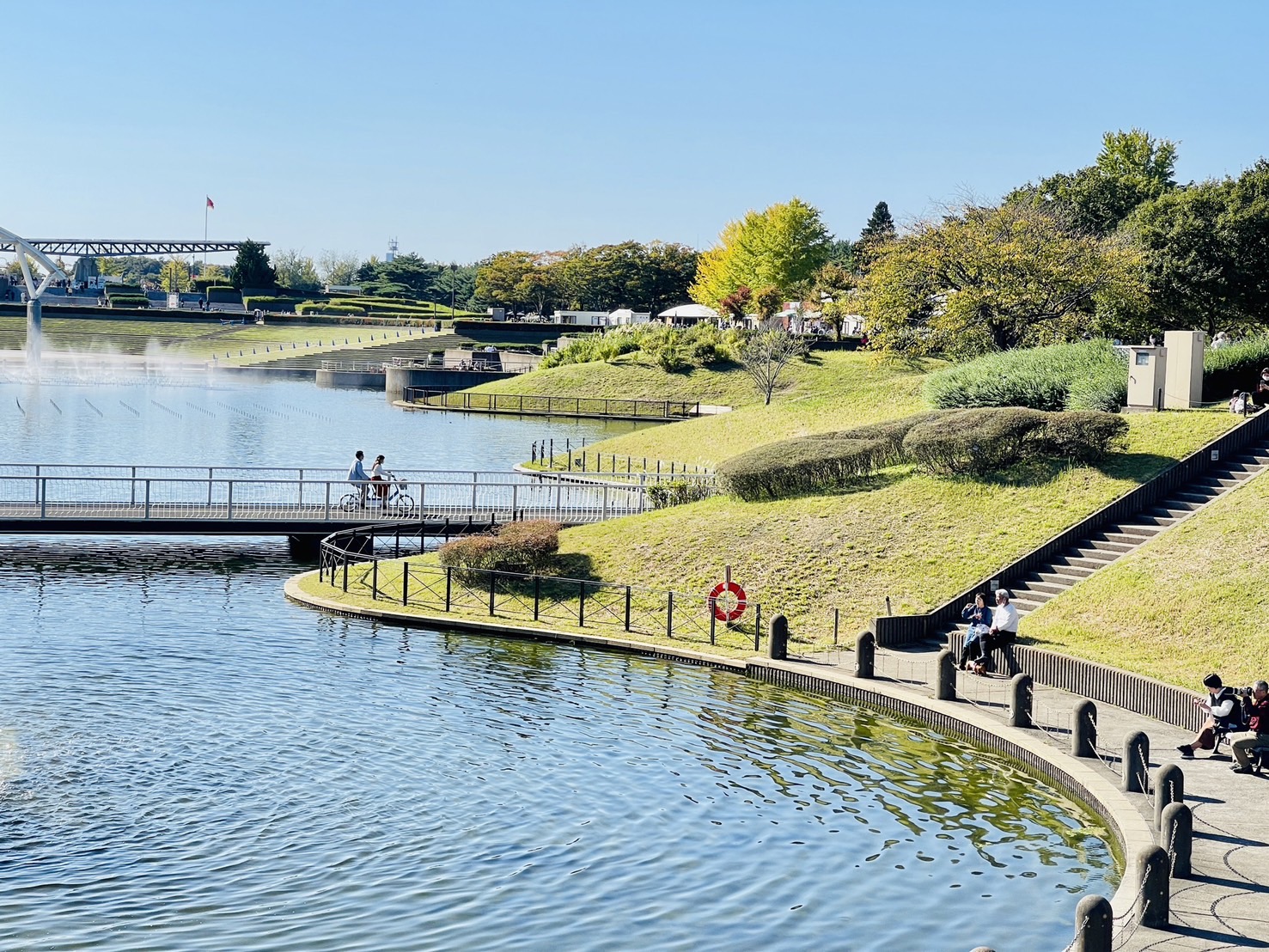 茨城國營常陸海濱公園 | 此生必去的日本景點之一，整片火紅的掃帚草，超級可愛 @傑哥的閒暇人生