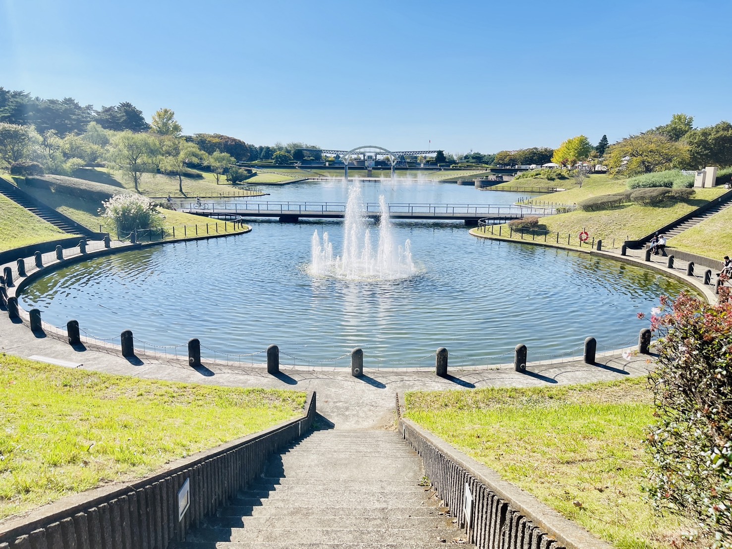 茨城國營常陸海濱公園 | 此生必去的日本景點之一，整片火紅的掃帚草，超級可愛 @傑哥的閒暇人生