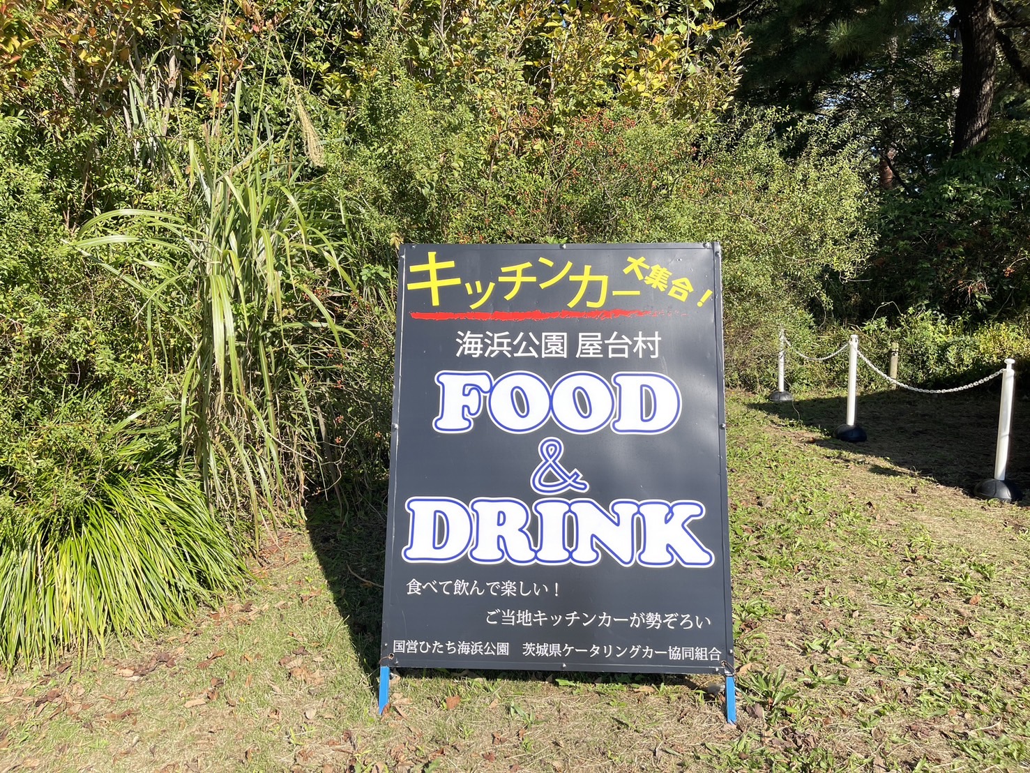 茨城國營常陸海濱公園 | 此生必去的日本景點之一，整片火紅的掃帚草，超級可愛 @傑哥的閒暇人生