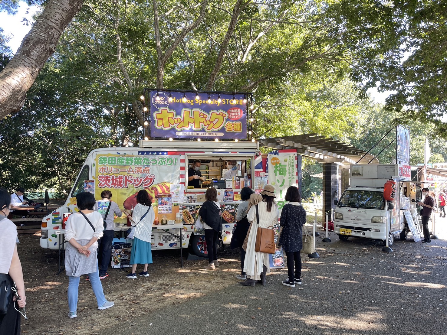 茨城國營常陸海濱公園 | 此生必去的日本景點之一，整片火紅的掃帚草，超級可愛 @傑哥的閒暇人生