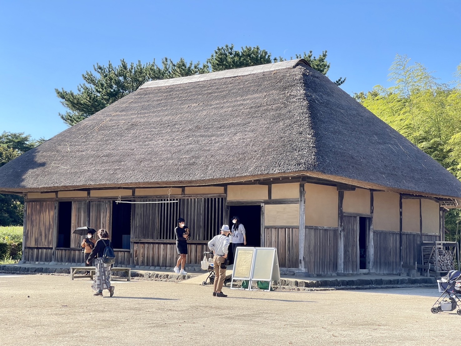 茨城國營常陸海濱公園 | 此生必去的日本景點之一，整片火紅的掃帚草，超級可愛 @傑哥的閒暇人生