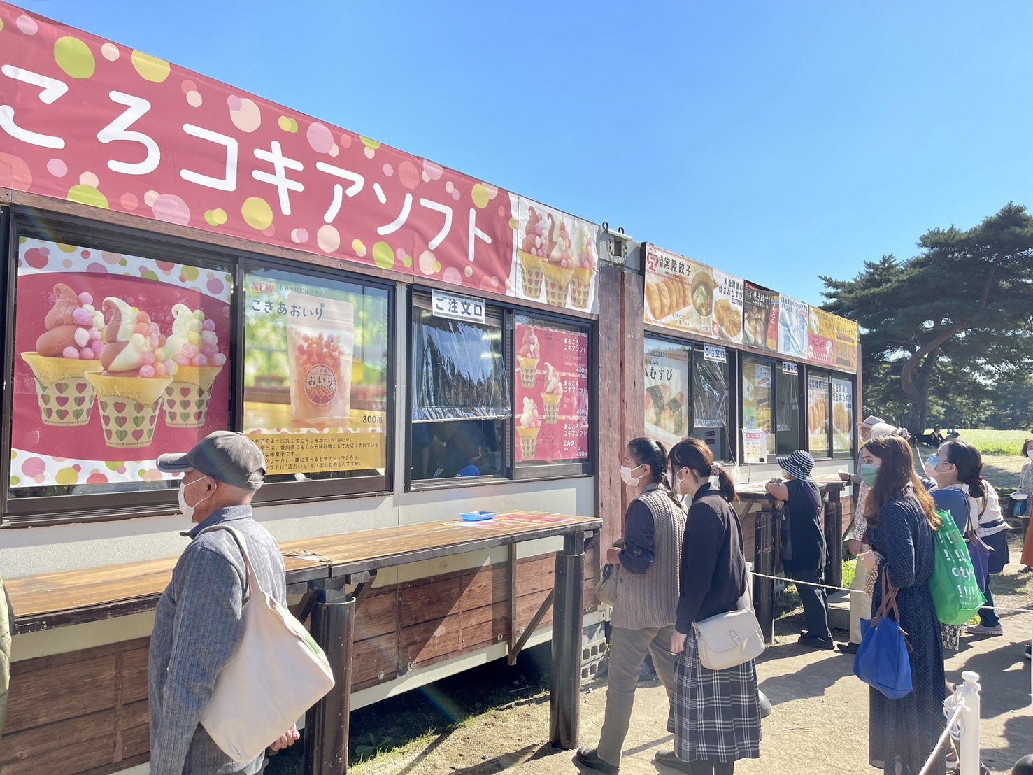 茨城國營常陸海濱公園 | 此生必去的日本景點之一，整片火紅的掃帚草，超級可愛 @傑哥的閒暇人生