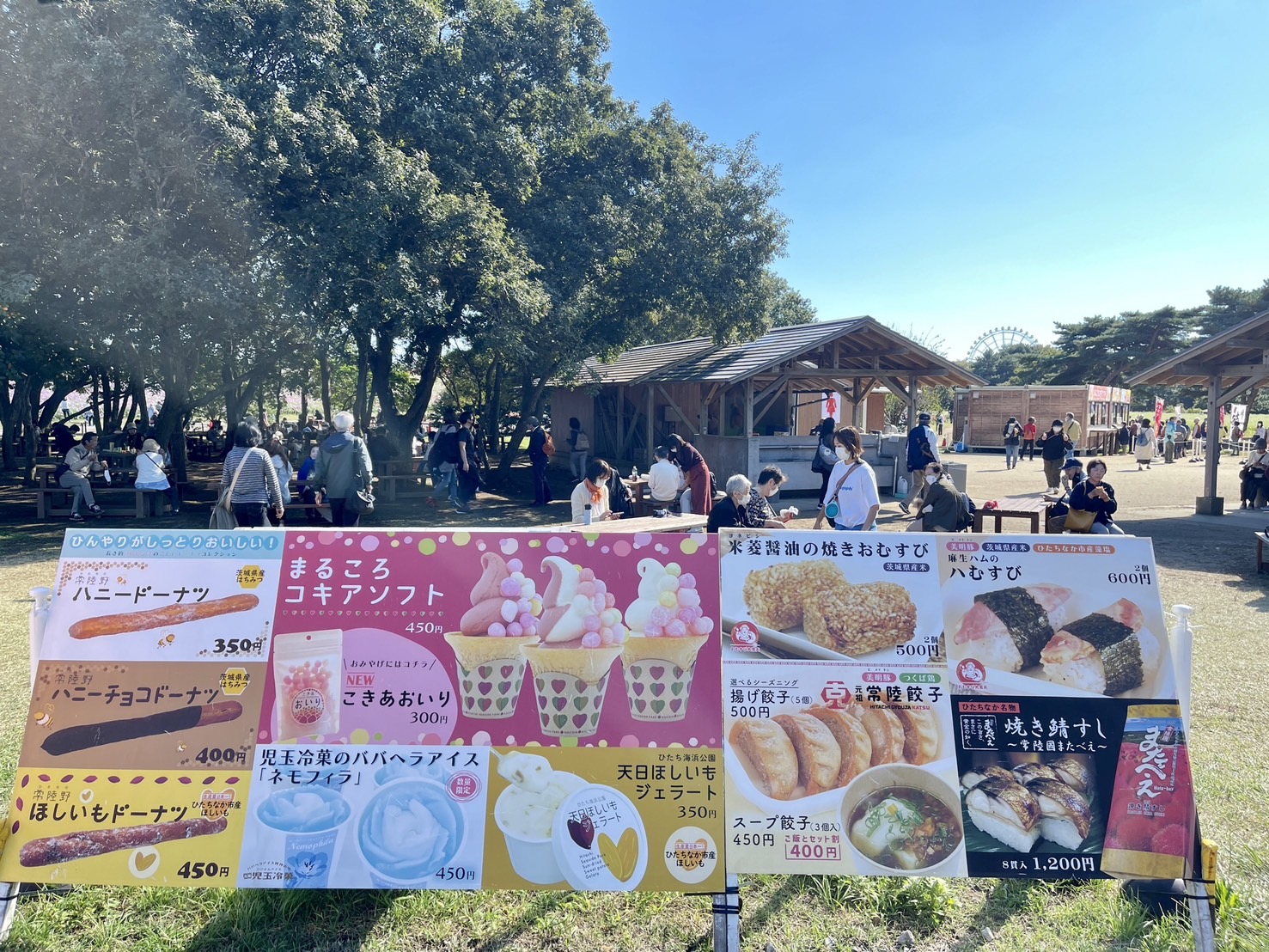 茨城國營常陸海濱公園 | 此生必去的日本景點之一，整片火紅的掃帚草，超級可愛 @傑哥的閒暇人生