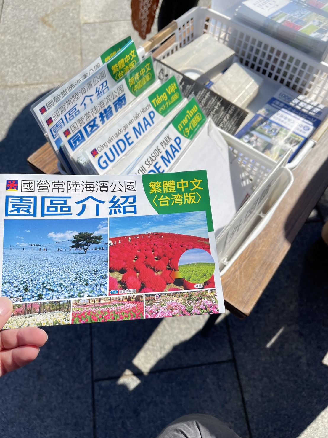 茨城國營常陸海濱公園 | 此生必去的日本景點之一，整片火紅的掃帚草，超級可愛 @傑哥的閒暇人生