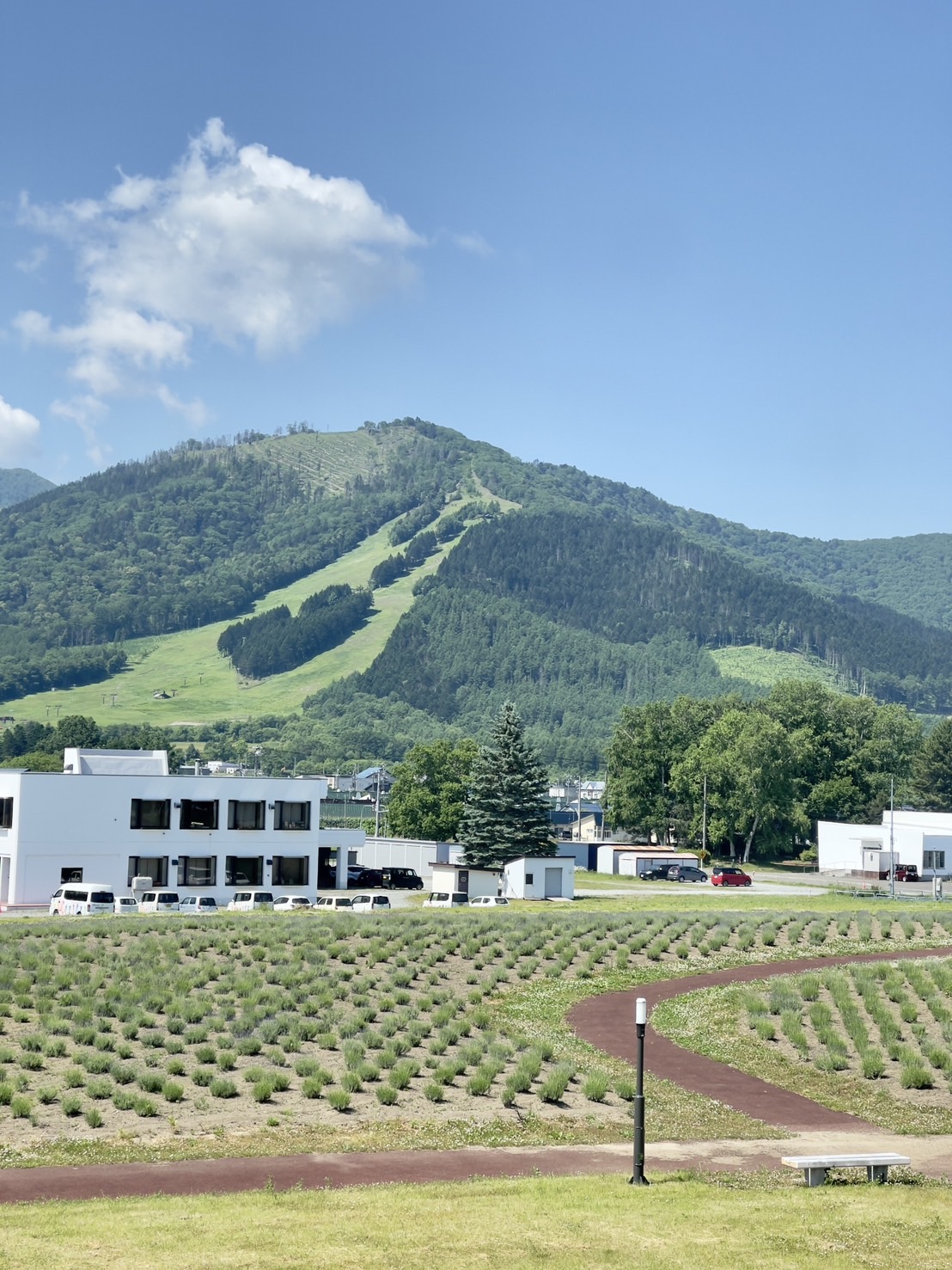 北海道南富良野萬楓酒店 | 道之驛南富良野就在對面，安靜舒適又新穎的住宿環境 @傑哥的閒暇人生