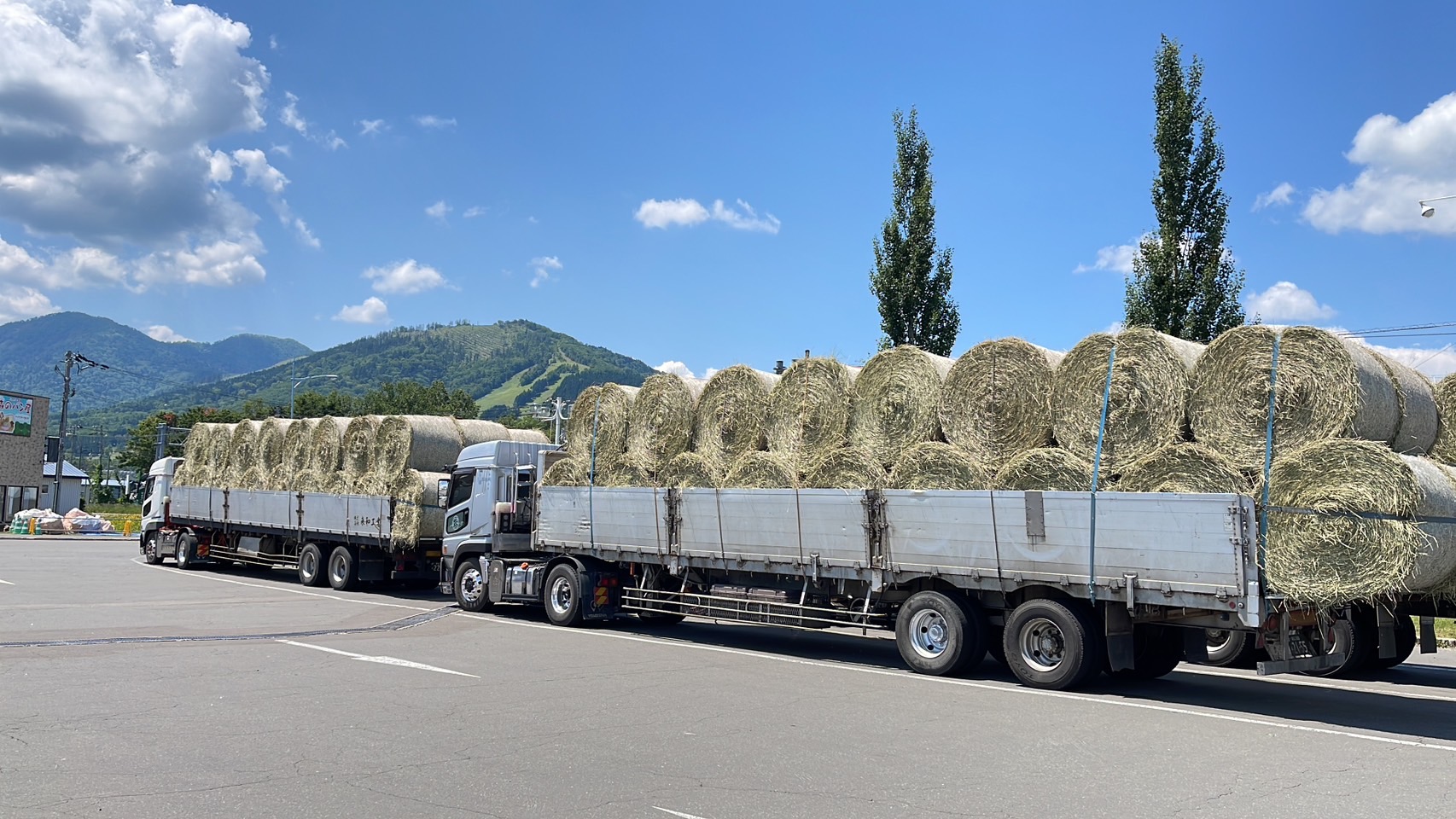 北海道南富良野萬楓酒店 | 道之驛南富良野就在對面，安靜舒適又新穎的住宿環境 @傑哥的閒暇人生