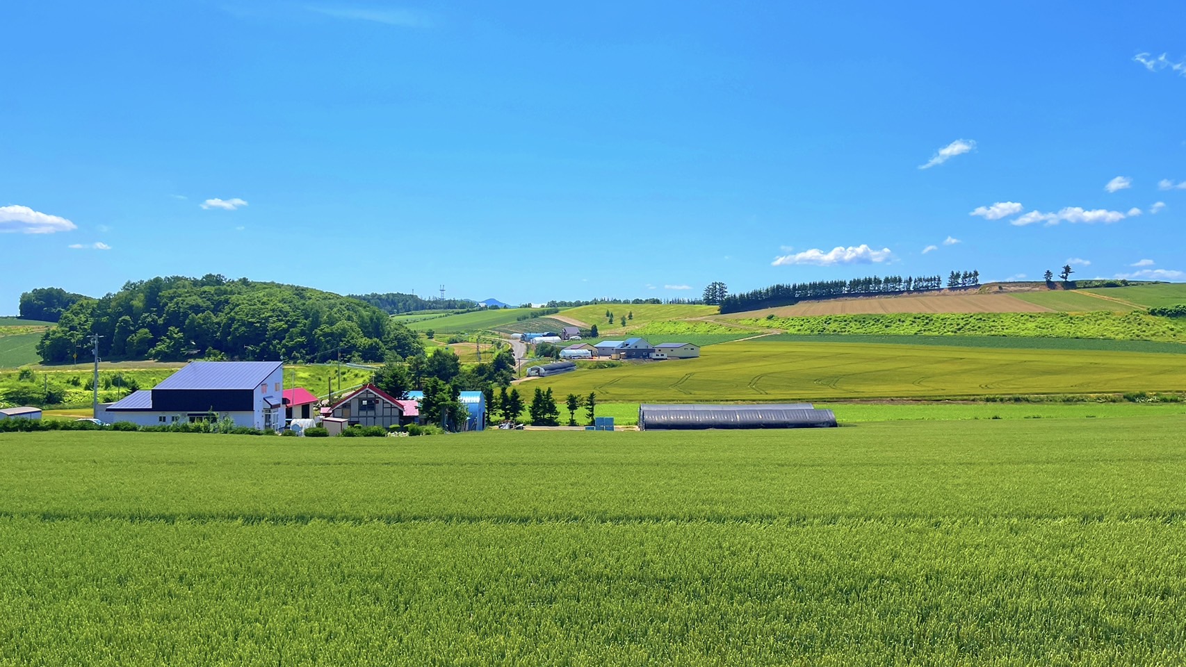 北海道南富良野萬楓酒店 | 道之驛南富良野就在對面，安靜舒適又新穎的住宿環境 @傑哥的閒暇人生